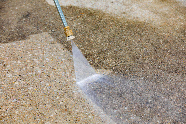 Best Pre-Holiday Cleaning  in Rutgers University Busch Campus, NJ